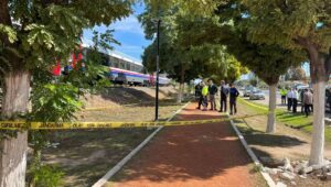 torununu kurtarmak isterken tren carpti XfpAxFXL.jpg